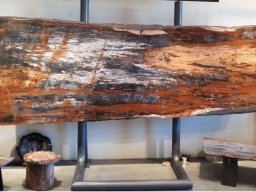 Designation of slabs 1 A Petrified Gem-Grade Rainbow table.  